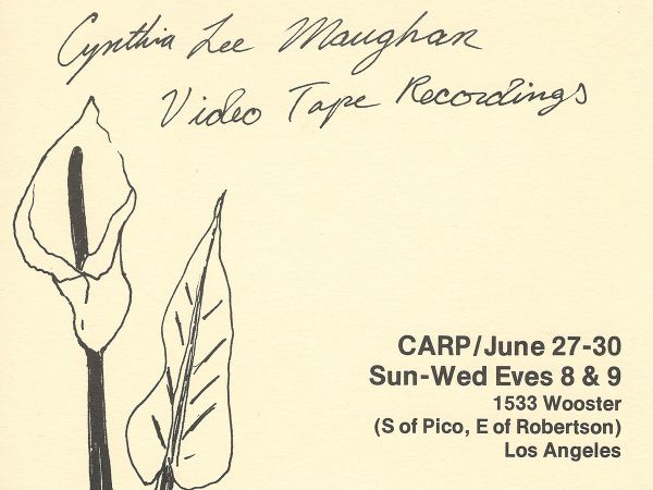 Video Tape Recordings - Cynthia Lee Maughan